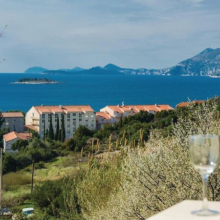 Nice Apartment In Cavtat With Wifi Екстер'єр фото