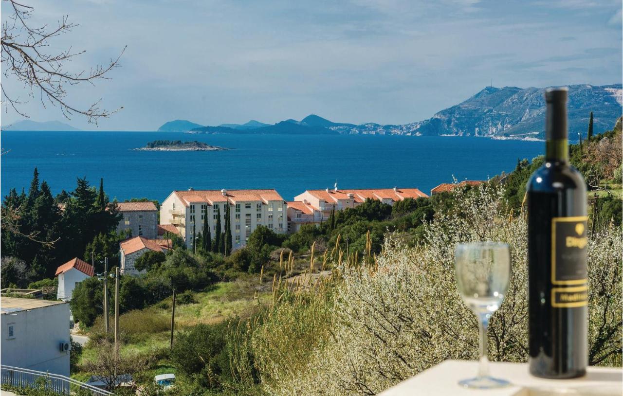 Nice Apartment In Cavtat With Wifi Екстер'єр фото